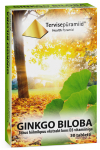 TERVISEP&Uuml;RAMIID GINKGO BILOBA TBL N30
