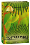 TERVISEP&Uuml;RAMIID PROSTATA PLUSS TBL N30