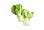 Hiina lehtkapsas Pak Choi 280g