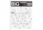 Ajakiri BIG krossword RS