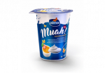 Koorejogurt ALMA Muah creme brulee,380g
