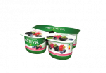 Jogurt ACTIVIA metsamarja, 4x120g