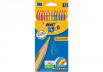 V&auml;rvipliiatsid BIC, 12v&auml;rvi