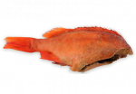 Kuumsuitsu kuldne meriahven, kg-lett