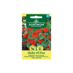 S. Agronom Suur Mungalill Globe of Fire