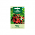 Seemned Agronom Metsmaasikas R&uuml;gen