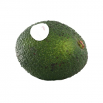 Avokaado suur Selection by  tk