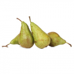 Pirn Conference 1kl, kg