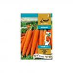 S. Lucia Elite Aedpor. Amsterdammer 2 LE