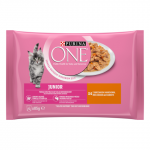 Kiisueine Purina One Junior 4x85g