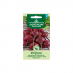 Harilik Peet D'&Eacute;gypte