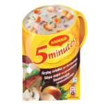 Kiirseenesupp Maggi 22g