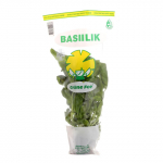 Basiilik potis Gr&uuml;ne Fee