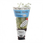 T&uuml;&uuml;mian potis Hansa Herbs