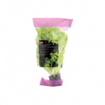 Roheline lehtsalat potis  tk