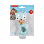 M/a Fisher-Price&rsquo;i loomateema. k&otilde;rinad