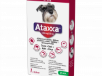 ATAXXA T&Auml;PILAHUS KOER 1250MG+250MG/2,5ML 2,5ML (10-25KG) N1