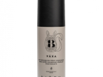 Bj&ouml;rk juustesse j&auml;etav palsam lastele 150 ml