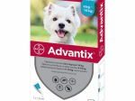 ADVANTIX T&Auml;PILAHUS KOER 500MG+100MG/ML 4-10KG N1