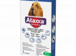 ATAXXA T&Auml;PILAHUS KOER 2000MG+400MG/4ML 4ML (>25KG) N1