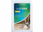FITS L-L&uuml;siin 500mg kapslid N90