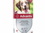 ADVANTIX T&Auml;PILAHUS KOER 500MG+100MG/ML 10-25KG N4