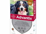 ADVANTIX T&Auml;PILAHUS KOER 500MG+100MG/ML 40-60KG N1