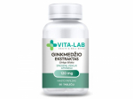 VITA-LAB Ginkgo Biloba h&otilde;lmikpuu ekstrakt 120mg tabletid N90