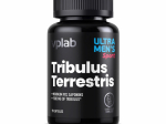 VPLab Tribulus Terrestris kapslid N90