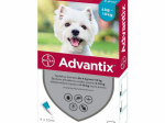 ADVANTIX T&Auml;PILAHUS KOER 500MG+100MG/ML 4-10KG N4