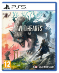 PS5 m&auml;ng Wild Hearts