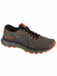 ASICS - Meeste jalatsid, ASICS Gel-Nimbus 24 TR 1011B571-300