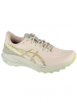 ASICS - Meeste jalan&otilde;ud, ASICS GT-1000 13 TR 1011C043-300