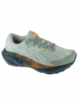 ASICS - Meeste jalan&otilde;ud, ASICS Novablast 5 TR 1011C138-300