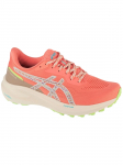 ASICS - Naiste jalatsid, ASICS GT-1000 13 TR 1012B828-700