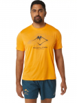 ASICS - Meeste s&auml;rk, ASICS Fujitrail Logo SS Top 2011C981-800