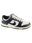 NIKE - Naiste vabaaja jalatsid, WMNS DUNK LOW VINTAGE FQ8899-100