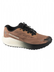 SALOMON - Meeste jooksujalatsid, AERO BLAZE 4 GRVL L45400500