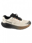 SALOMON - Meeste jooksujalatsid, AERO BLAZE 4 GRVL GTX L45403200