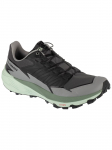 SALOMON - Meeste saapad, Salomon Thundercross L47560800