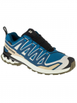 SALOMON - Meeste vabaaja saapad, XA PRO 3D V9 GTX L47817400