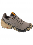 SALOMON - Meeste jalan&otilde;ud, Salomon Speedcross 6 GTX L47853400