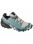 SALOMON - Naiste vabaaja jalatsid, SPEEDCROSS 6 GTX W L47880100