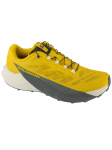 SALOMON - Meeste saapad, Salomon Pulsar L47973200