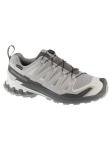 SALOMON - Meeste vabaaja saapad, XA PRO 3D V9 GTX L49199100