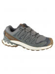 SALOMON - Meeste vabaaja saapad, XA PRO 3D V9 GTX LIFELONG L49296100