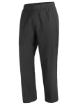 SALOMON - Meeste vabaajap&uuml;ksid, WAYFARER EASE PANTS 2.0 M LC2746500