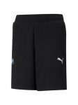PUMA - Meeste l&uuml;hikesed p&uuml;ksid, Puma BMW M Motorsport Shorts 599523-01