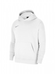 NIKE - Laste kapuutsiga kampsun, DRY PARK 20 CW6896-101