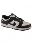 NIKE - Naiste vabaaja jalatsid, Nike Dunk Low Retro DD1503-101